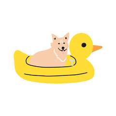 Dog on vacation. Cute animal rest by floating on an inflatable mattress.