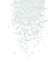 Salt rock flower fly explosion, white Salt rock flower explode abstract cloud fly. Big size ground salt splash in air, food object element design. White background isolated high speed freeze motion