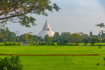 Tissamaharama Stupa at Sri Lanka