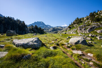 Summer landscape in Aiguestortes and Sant Maurici National Park, Spain