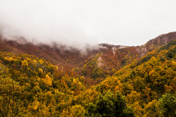 Obraz premium Autumn rainy day in La Garrotxa, Spain