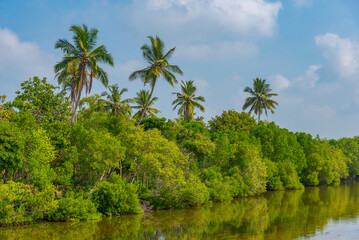 Rekawa lagoon at Sri Lanka © dudlajzov