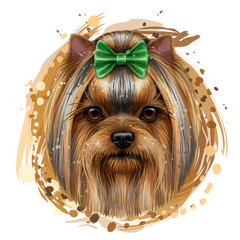 Yorkshire terrier. A color, artistic image of the head of a Yorkshire terrier in watercolor style on a white background. Digital vector graphics.