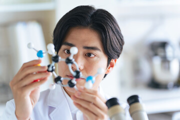 分子モデルを見る若い研究者