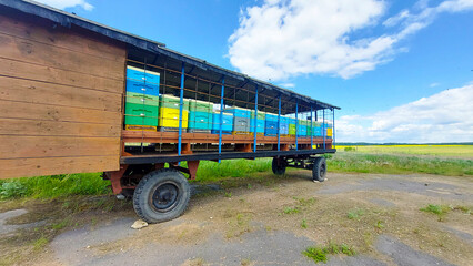 a mobile apiary with bees in a village garden, bees fly around