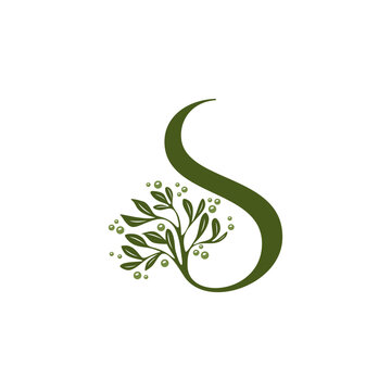Letter S Luxury Olive Oil Tree Logo Icon Vector