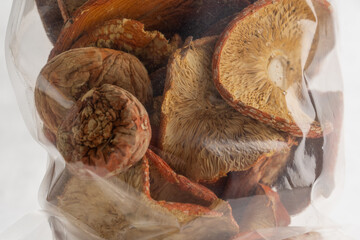 A group of edible amanita mushrooms on a mushroom farm in dry form growing on a white background close-up