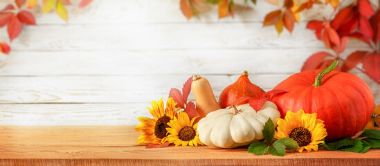 Autumn background of different pumpkins, sunflowers and leves on white wooden background. Copy space