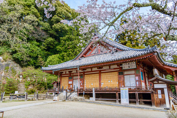 Obraz premium 【奈良県】大和郡山市 松尾寺 (2023/03/27撮影)