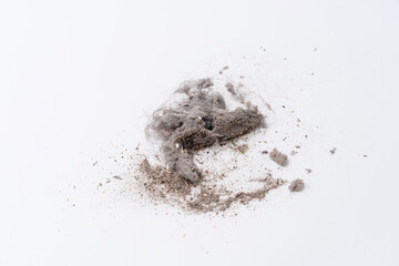 Close up of the dust and hair that get out from the vacuum cleaner with isolated white background