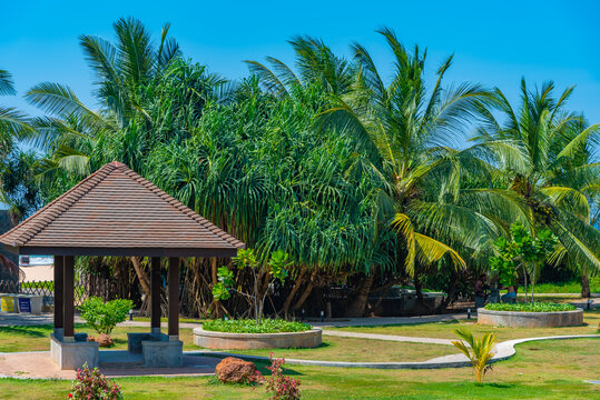 Seaside park at Bentota beach at Sri Lanka