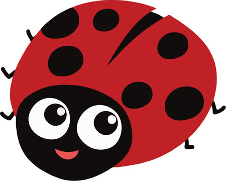 
vector colorful ladybug design