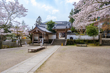 Obraz premium 【奈良県】大和郡山市 松尾寺 (2023/03/27撮影)