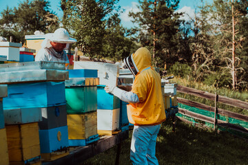 Beekeepers check the honey on the hive frame in the field. Beekeepers check honey quality and honey parasites. A beekeeper works with bees and beehives in an apiary.