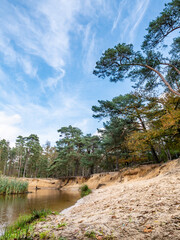 Fototapeta na wymiar Dinkel river and pine trees in nature reserve Lutterzand, De Lutte, Overijssel, Netherlands