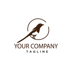 magpie bird logo vector eps10.