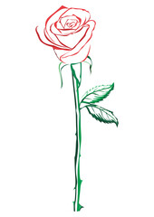 line art color of a thorny red rose with two leaves