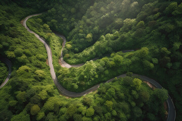 Aerial view of a winding road through the green forest in summer, Generative AI