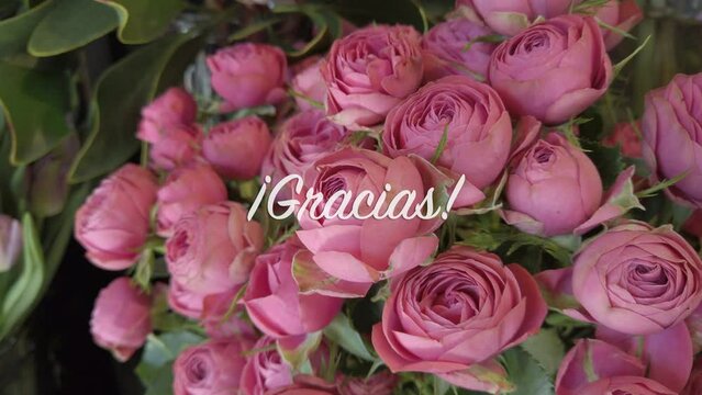4k video of bouquet of roses with text flying in "¡Gracias!" in Spanish language, meaning "Thank you"