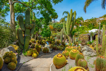 Succulents and cactuses at Giardini Ravino gardens at Forli, Ischia, Italy