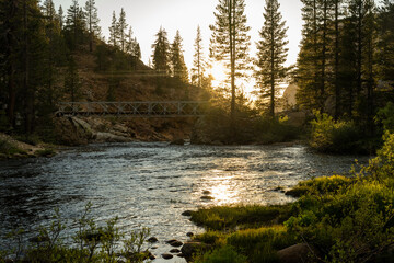 Light Sparkles on the River Surface in Yosemite