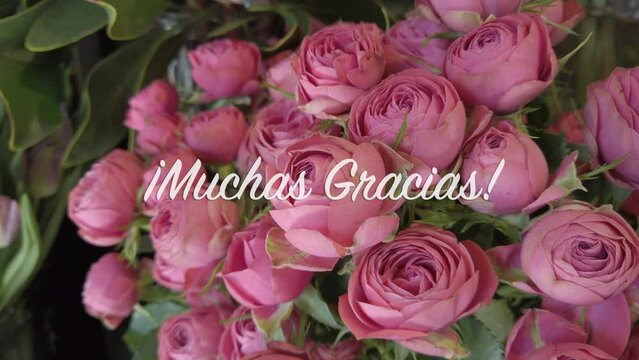 4k video of bouquet of roses with text flying in "¡Muchas Gracias!" in Spanish language, meaning "Thanks a lot"