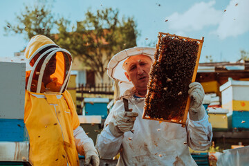 Beekeepers checking honey on the beehive frame in the field. Small business owners on apiary. Natural healthy food produceris working with bees and beehives on the apiary.