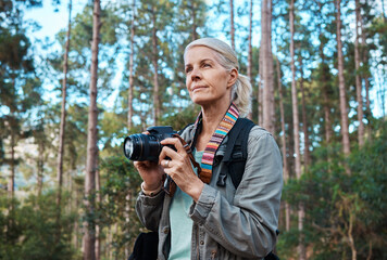 Camera, photographer and elderly woman taking pictures while hiking in a forest, calm and content. Nature, photography and senior lady enjoying retirement, relax and hobby while on vacation outdoors - obrazy, fototapety, plakaty