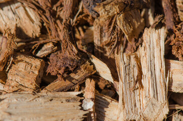 Wood Chip Detail.dng