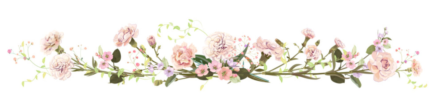 Panoramic view: bouquet of carnation and spring blossom. Horizontal border: light flowers, buds, leaves on white background. Realistic digital illustration in watercolor style, vintage, vector