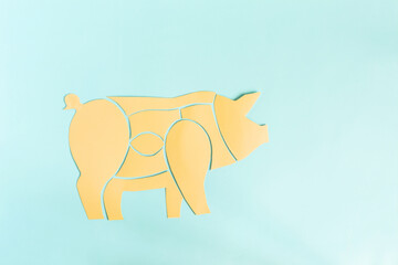 Diagram of a pig carcass made of cardboard on a light background