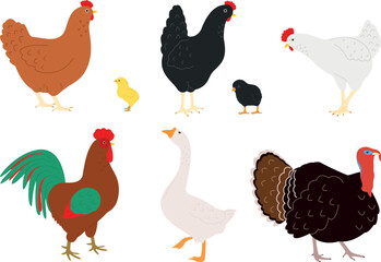 Hens, chickens, rooster, goose and turkey, vector illustration