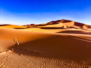 Fototapeta na wymiar サハラ砂漠 