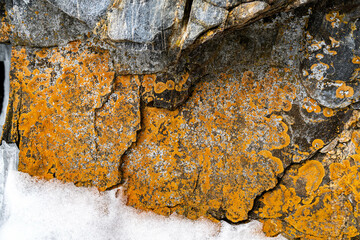 the nature of Lake baikal