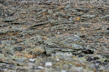 the nature of Lake baikal