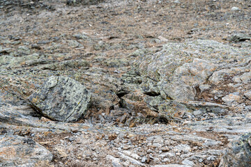 the nature of Lake baikal