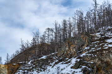 the nature of Lake baikal
