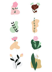 set of colorful flowers on the white background