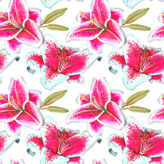 Pink lily pattern illustration,hand drawing.The drawing is made with alcohol markers
