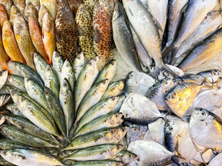 Fresh sea fish on ice in a seafood store
