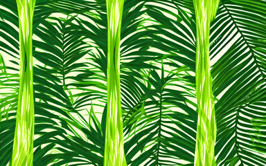 Beautiful abstract palm branches background created using generative ai