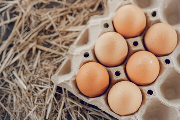 Chicken egChicken eggs on a straw for healthgs on a straw for health