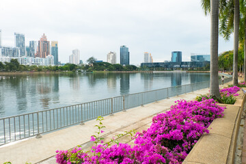 Cityscape view of Lake in city park is new landmark public park.