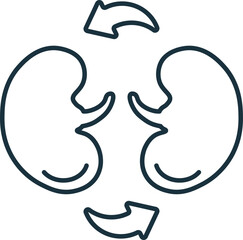 Kidney Transplant line icon. Element sign from transplantation collection. Flat Kidney Transplant outline icon sign for web design, infographics and more.