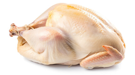 Fresh raw chicken isolated on white Background. Generative AI