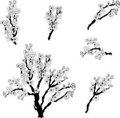 Free hand Sakura flower vector set, Beautiful line art Peach blossom isolate on white background.Branch of cherry blossom for printing on wallpapers and sticker.Japanese flower.Golden line art.