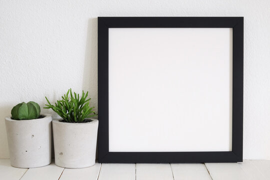 blank square frame with cactus in room
