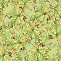 Seamless pattern with  autumn leaves on light green background. 