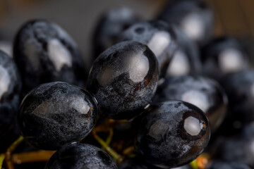 washed ripe black grapes covered with drops of water