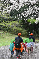 気づけばどこも桜花爛漫